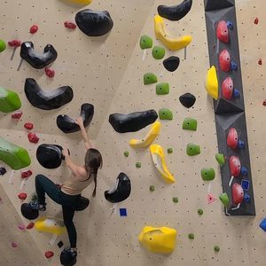 Meet your Posher, Emmie